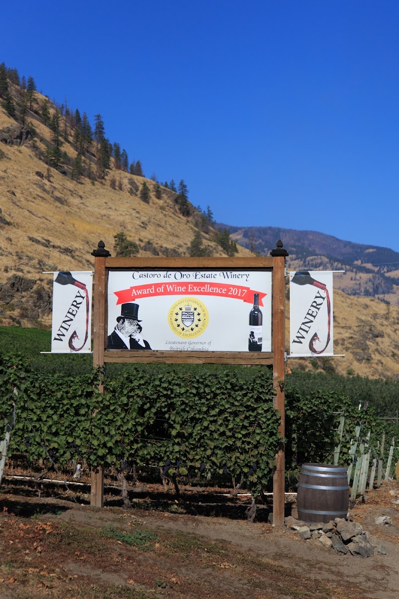 Castoro de Oro Estate Winery 5