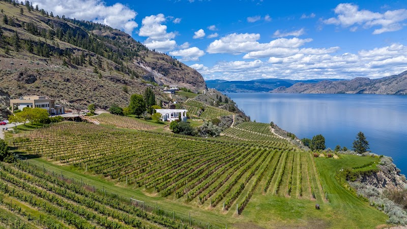 Vows & Vines Vineyard 2