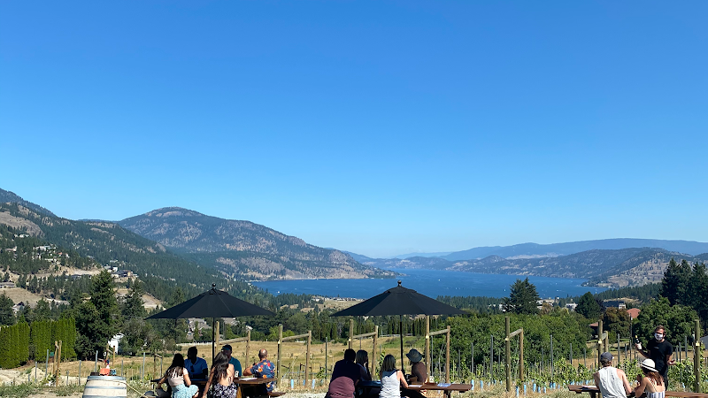 Black Swift Vineyards