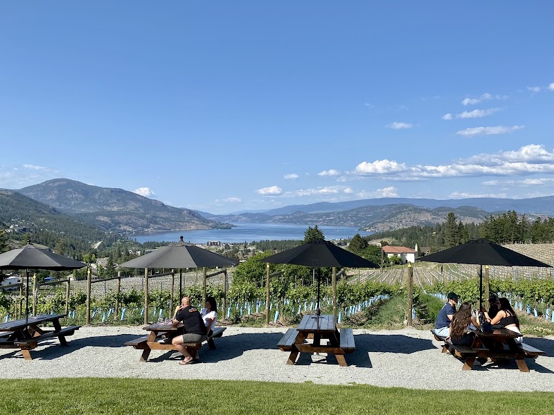 Black Swift Vineyards 5