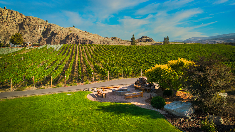 Meyer Family Vineyards 3