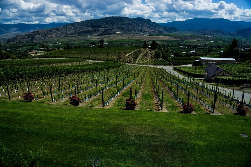 Road 13 Vineyards 3