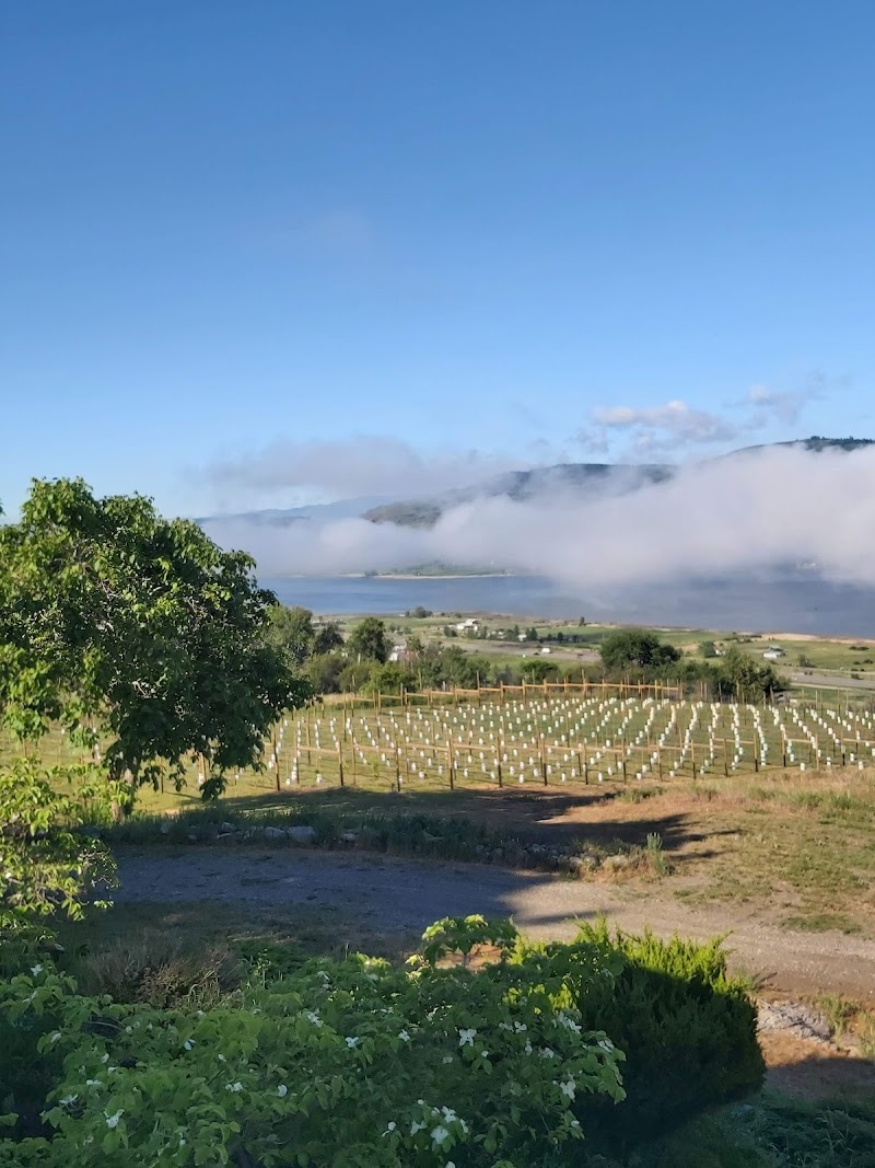 The Perch Winery 4