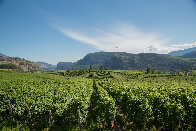 Blue Mountain Vineyard and Cellars - Reservations Required