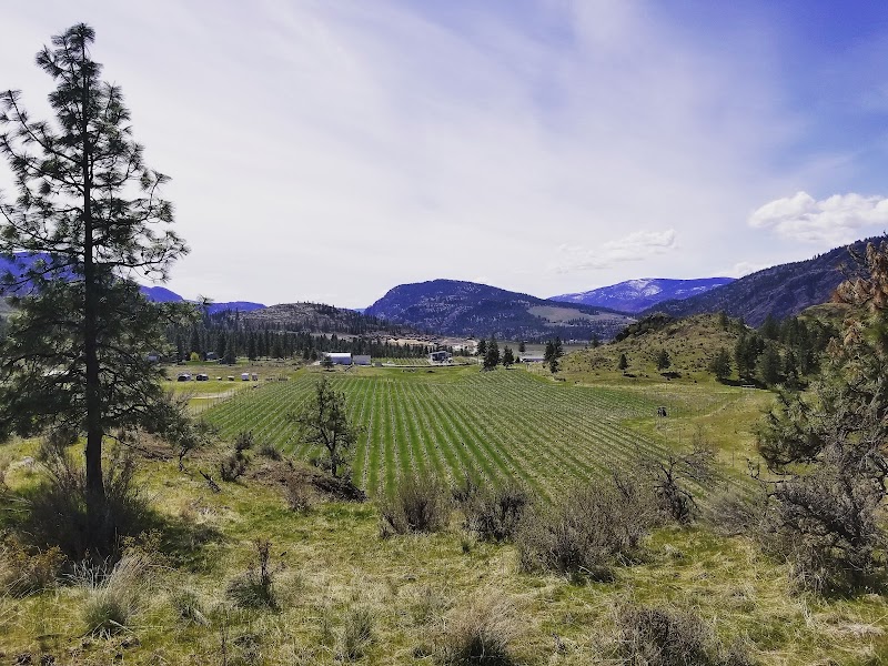 Synchromesh Wines 4