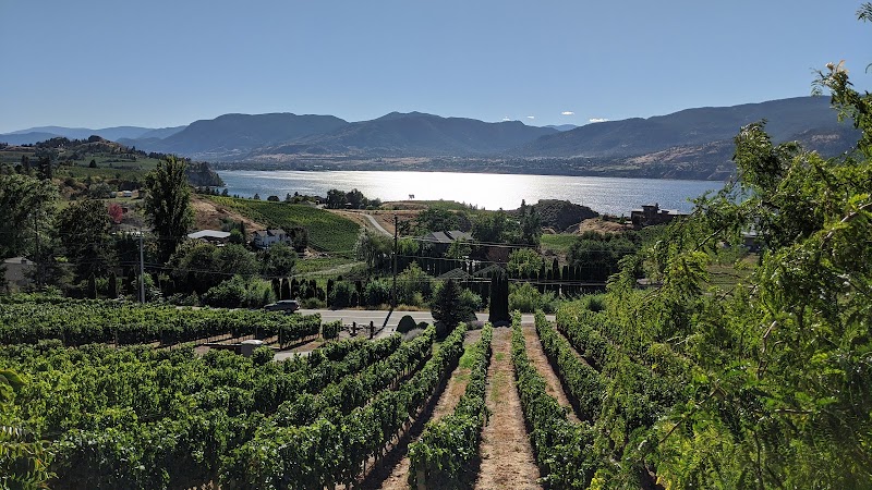 Laughing Stock Vineyards 2